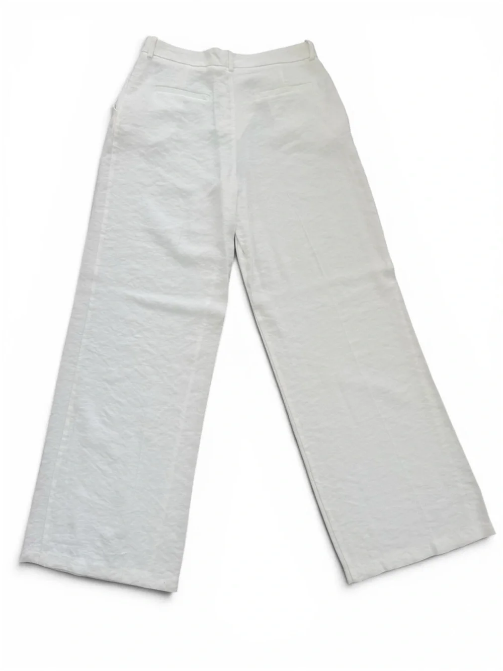 Zara Women’s Pleated Wide Leg Pants Ecru Size Medium NWT